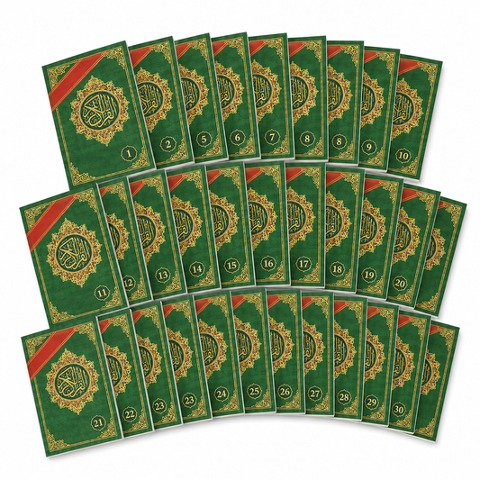 Full Qur'an Individual Chapters